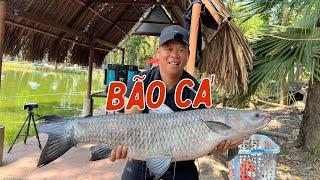 Bão Cá Trắm Hồ Không Nhớ Tên | Chung Nguyễn Fishing