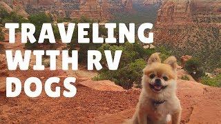RV  Life: Tips for Traveling with Dogs in an RV