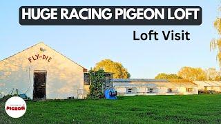 The Biggest Racing Pigeon Loft I Have Seen!