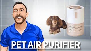PetSnowy Air Purifier for Pets
