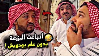 انباعت المزرعة بدون علم بودويش  | سنابات مرتضى السلمان