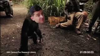 Зе-президент как обезьяна с калашом
