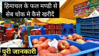 How To  Buy Apple From Wholesale Fruit & Vegetable Market of Himachal Pradesh