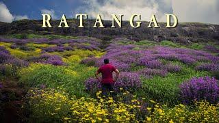 Ratangad Fort Trek | Land of Karvi Flowers | Lifetime Experience किला रतनगढ़ Complete Guide