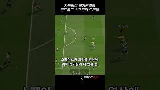 전기타입 포켓몬 차두리의 백만볼트 스프린터ㄷㄷ