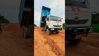 Tata Signa 2830.tk ️ TATA Dumper ️ #sujal13 #jcbvideo #tata #ytshorts #trending #dumper