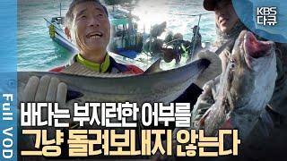  대구, 삼치와 수십 년째 함께 하는 거문도 어부들! 그들의 뜨거운 겨울 이야기 | 바다의 선물 - 대구, 삼치 | KBS 20200607 방송