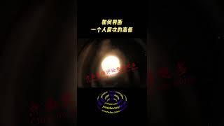 如何判断一个人层次的高低呢 ?  #shorts #修行 #开悟 #觉醒 #智慧