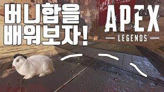 에이펙스 레전드 공략 버니합 쉽게 하는법!! [APEX LEGENDS]