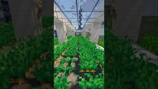 [Minecraft] Carrot Growing Timelapse]