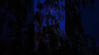 Свидание с Луной  Всегда становится спокойнее,когда смотрю на небо #moon #beauty #nature #night