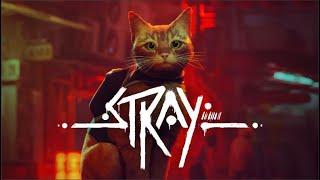 On joue à STRAY (Xbox Series S)