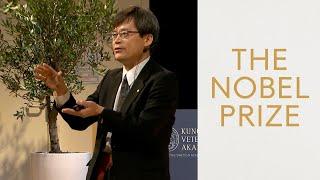 Hiroshi Amano, Nobel Prize in Physics 2014: Nobel Lecture