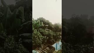 nature short video storey