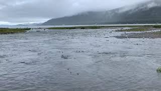 SHEEP CREEK#SMALL YOUTUBER#NEW VLOGER JUNEAU ALASKA AUGUST 22/2020