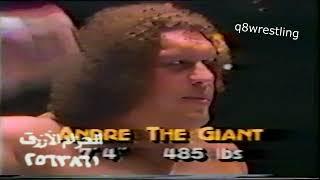 WWF ROCKY JOHNSON AND ANDRE THE GIANT VS DON MURACO AND BIG JOHN STUDD 1983 | الحزام الأزرق