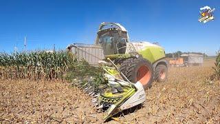 Warren Dairy Corn Silage Harvest 2023