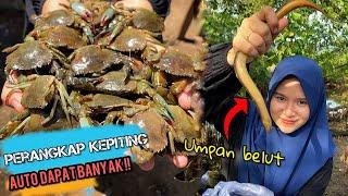 Menangkap kepiting bakau | Kepiting saus tiram