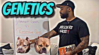 How to breed dogs! (The Genetics)