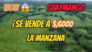 GUAYMANGO A $6,000 LA MANZANA TIERRAS FÉRTILES