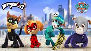 PAW Patrol in Miraculous Ladybug Style!