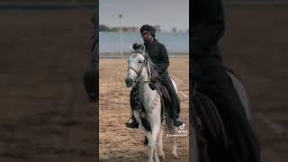 Syed Ali raza bokhari jalali Qalandari