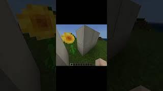 Minecraft all circles #Mc Factz