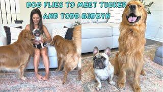 My Dog Met @TuckerBudzyn and his son, Todd!