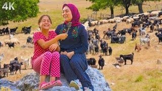 Turkish Girl Living in the Mountains- Nomadic Culture in Toros Mountains | Documentary-4K