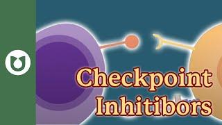 What are checkpoint inhibitors?