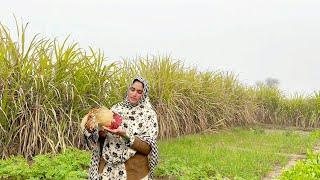 Desi Murgh Kunna, Mud House Cooking  I Happy Joint Family