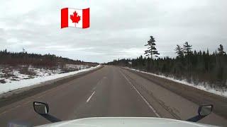 СКОРО В КАНАДІ ВСІ БУДУТЬ БЕЗ ОДНОГО ВОЛОСКА. А ми з NEW BRUNSWICK️CANADA 538