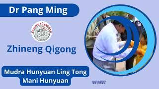 Zhineng Qigong - Dr Pang Ming - Mani Hunyuan - Hunyuan Ling Tong