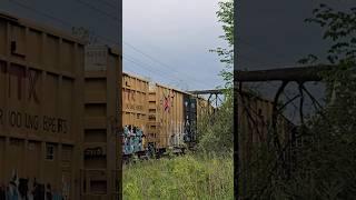 There Is A 40FT TREE On Top Of That Box Car, I Guess They Aren't Taking That!! #trains #railway