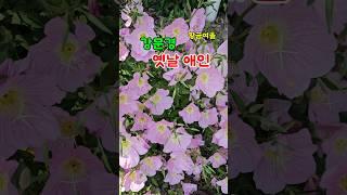 강문경 옛날애인