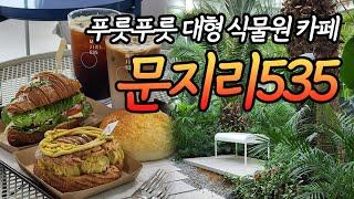 [문지리535] 경기도 파주에 끝판왕 카페 싱그러운 식물원 카페에서 커피 한 잔