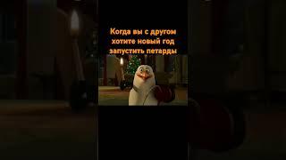 Когда вы с другом хотите новый год запустить петарду #пингвины #penguinsofmadagascar #мем #memes