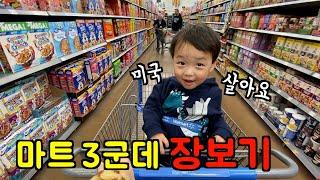 미국일상  마트 3군데 장보기, 돈까스 대량생산, 미국집 대청소, 오븐 스테이크, 명란파스타, 새해 소원 l 미국 브이로그