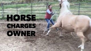 Horse Charges Owner 