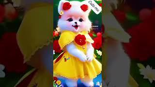 new short video # talking teddy #cute me 