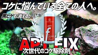 頑固なコケに悩んでる方必見。話題のコケ駆除剤APT FIXを徹底検証&解説！#183【アクアリウム】