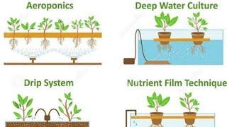 SNAP HYDROPONICS | TECHNIQUE AND STYLES
