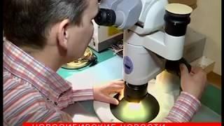 Микроминиатюрист Анискин работает в промежутках между ударами сердца