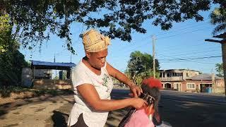 Giving my client  her  Christmas   hairstyle