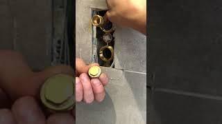 Shower Valve Maintenance