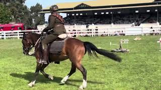 My mum horse riding *emotional* @LeeKei28