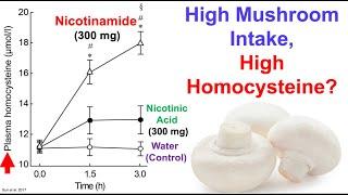 High Mushroom Intake, High Homocysteine?