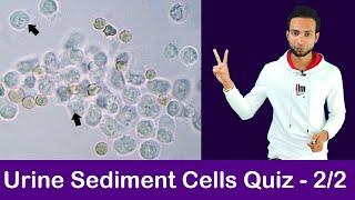 Urine Sediment Cell Identification Training Quiz - 2/2