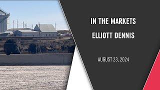 Cattle Market Outlook with Elliott Dennis | August 23, 2024