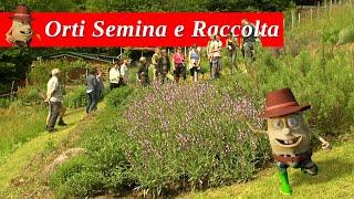 Orti Semina e Raccolta